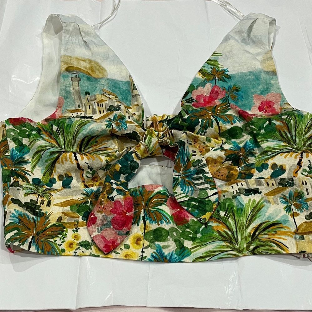 Zara crop top
